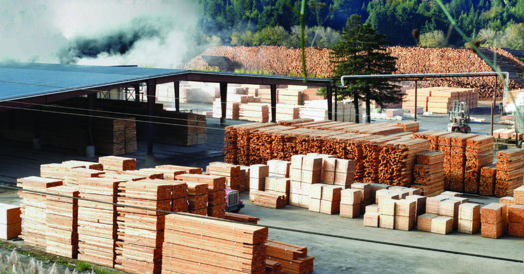 forest mill lumber