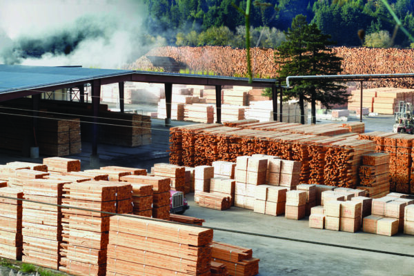 forest mill lumber