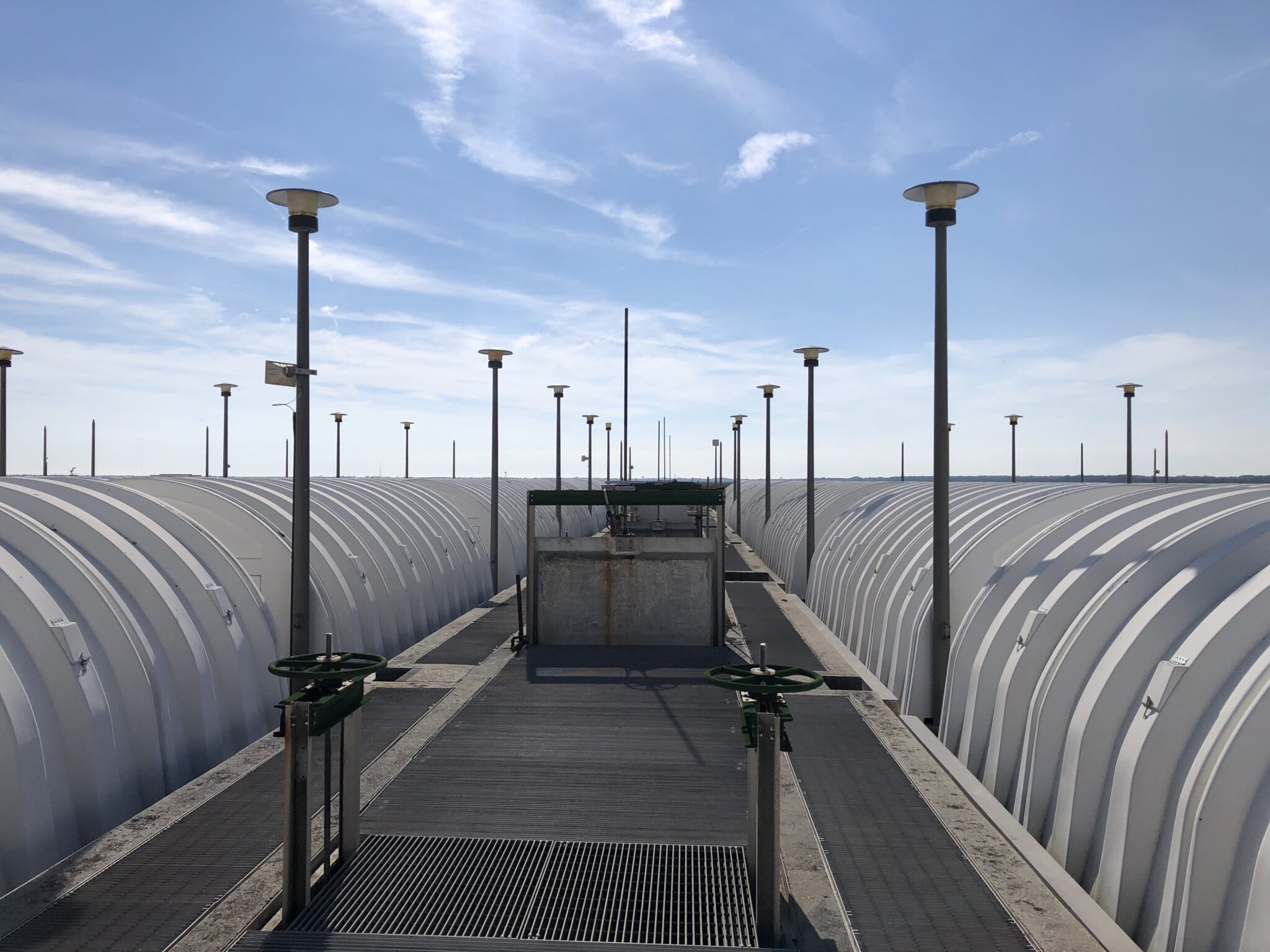 safety mount plant